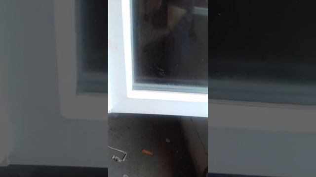 Как снять старую пленку с окна смотреть онлайн