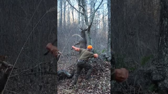 Hanging a BIG WOODS Buck Overnight! ?