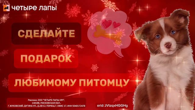 ⭐ Где выгодно купить товары для вашего питомца / Читайте описание и приятных покупок