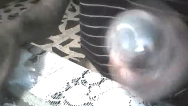 SEMBRAROGERMINAR MARIHUANA      ( COCOS DE MARIQUITA ) смотреть онлайн