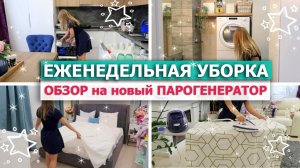 ? Мотивация на ЕЖЕНЕДЕЛЬНУЮ УБОРКУ всей квартиры ? Парогенератор Morphy Richards Speed Violet