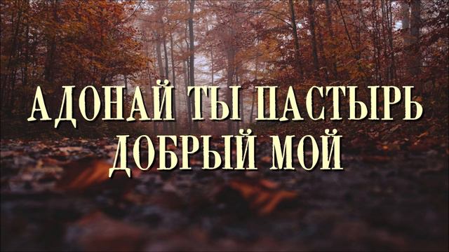 ОЧЕНЬ КРАСИВОЕ ИСПОЛНЕНИЕ Адонай Ты добрый пастырь мой