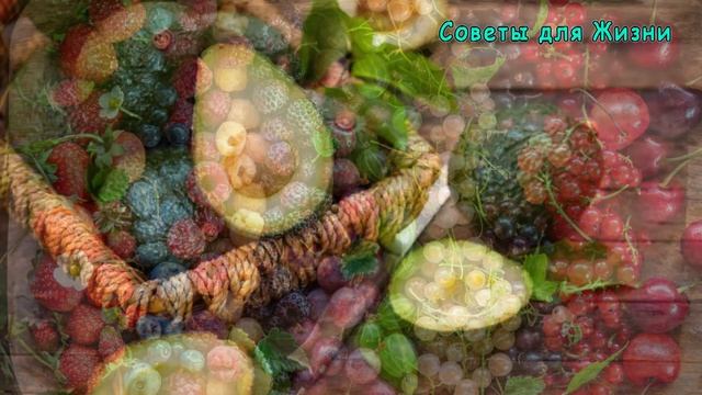 В Эти 8 Продуктов, Влюблен Ваш Кишечник. Как Очистить Кишечник | Полезные Советы для Жизни