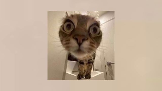 boom clap - charli xcx (sped up) смотреть онлайн