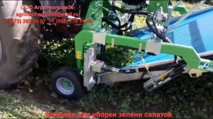 Комбайн для уборки зелени салатов.