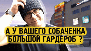 У вашего собачонка большой гардероб в Норильске ? Напишите !