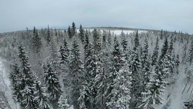 Зимний лес Карелии. Видео с квадрокоптера.