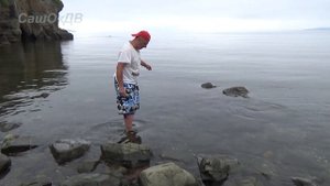 Как мы крабов ловили... Crab catching by hand.