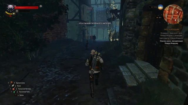 В ПОИСКАХ ЛЮТИКА - The Witcher 3 Wild Hunt смотреть онлайн