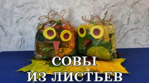 Сова из листьев. Осенняя поделка в сад или школу