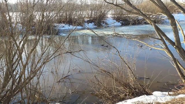 Река Волхов. Окраина города Кириши