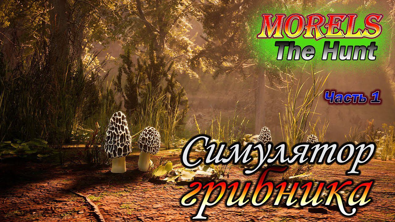 Morels: The Hunt. Симулятор грибника. Часть 1. Знакомство с игрой.