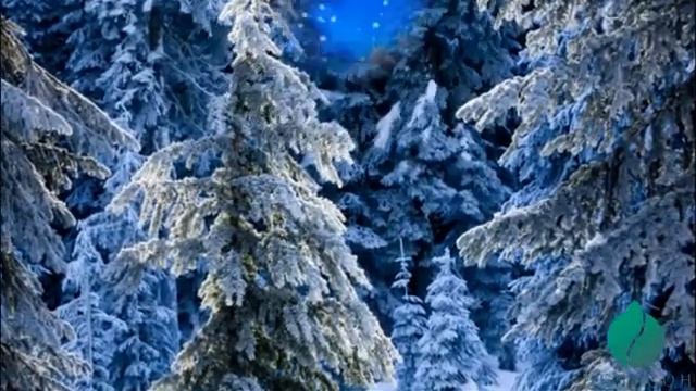 ЗИМНЯЯ СКАЗКА смотреть онлайн