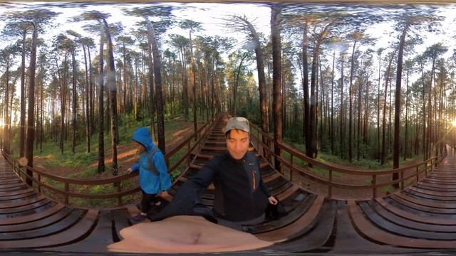 Красноярские столбы, спуск по лестнице смотреть онлайн