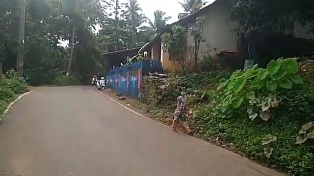 Vlog GOA. Индийские фрукты и овощи. Съедобные? Вкусные? Дешёвые? смотреть онлайн