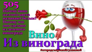 ВИНО  из Винограда Белого Часть 1-ая