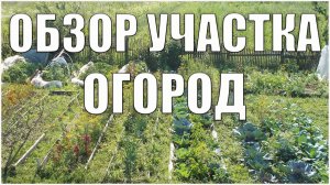 Обзор участка В ДЕРЕВНЕ #Огород #Урожай Деревенская жизнь