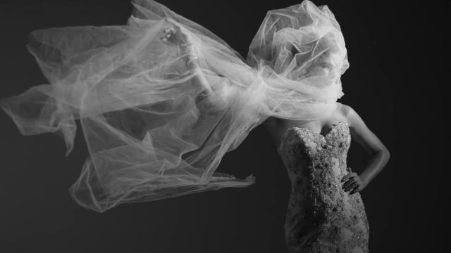 Sottero and Midgley Monaco Collection смотреть онлайн