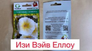 Семена петунии Лучшие сорта на 2024 год 🌺🌱🌸