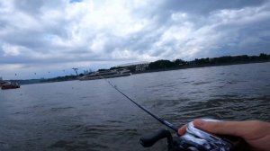 Sportex Magnific Finesse MG 1912