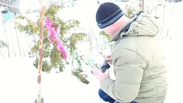 Команда мечты
