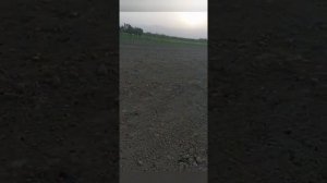 N46.. Биогомуса чихел истифода бурдестам барои пахта тел 887774243 ватсап +79270265483