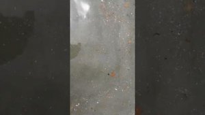 Геленджик чёрное море плавает говно по всему пляжу