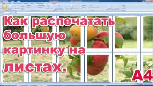 Как распечатать большую картинку на нескольких листах. А4.