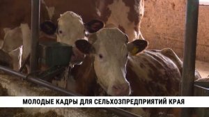 Молодые кадры для сельхозпредприятий Хабаровского края