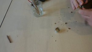 Настольная простая зимняя прививка черенка винограда с укоренением.С результатом промежуточным.