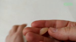 СУПЕР ЛОВУШКА ДЛЯ ЛОВЛИ БЕЛЫХ ЧЕРВЕЙ ПЛАНАРИЙ В АКВАРИУМЕ!