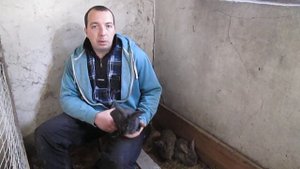 ПАСТЕРЕЛЛЕЗ Кроликов ИЗЛЕЧИМ! Результаты лечения! // из Города в Деревню!
