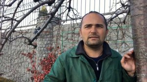 Уход за газоном поздней осенью