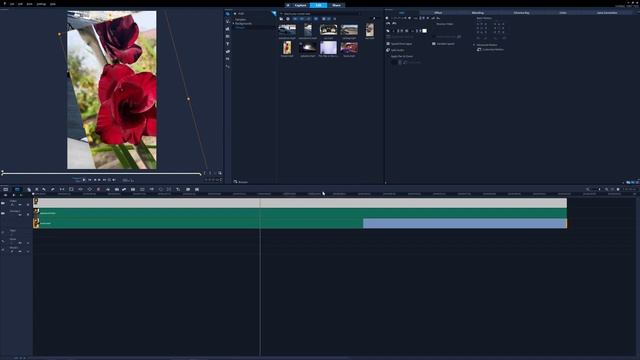 Новые возможности видеоредактора Corel VideoStudio 2021