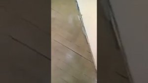 Ошибки мастеров при нанесение тонированного лака