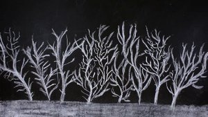 Мульт мел 2016 Тверь