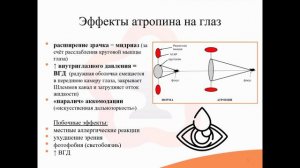 4.6. Неселективные М-холинолитики (М-холиноблокаторы)