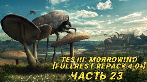 TES III Morrowind [Fullrest repack 4.0+] 📜#23. Заметки Итермеля