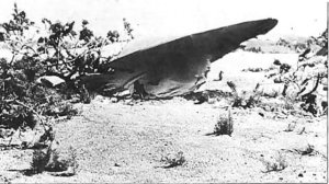 Секретная ЗОНА 51