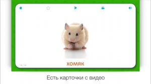 Развивающие карточки для детей