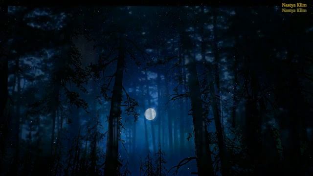 Звуки Ночного леса. Релакс видео для хорошего сна смотреть онлайн