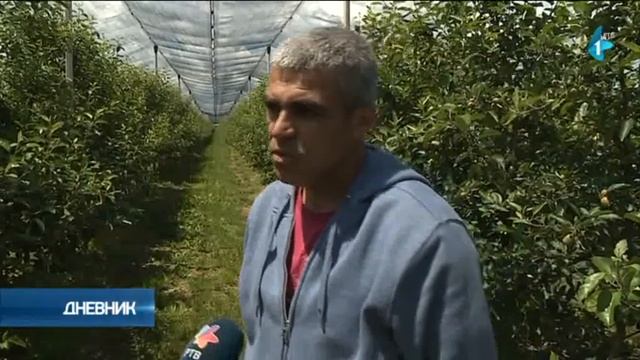 Tokom leta četvrta etapa projekta "500 zadruga u 500 sela“ смотреть онлайн