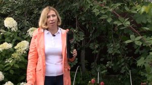Как оздоровить почву за 3 минуты.