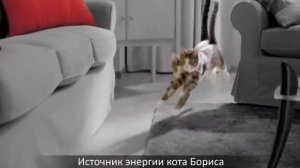 Китикет нашёл