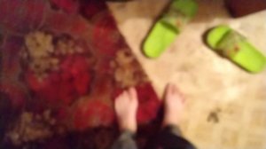 Чисто мой пес