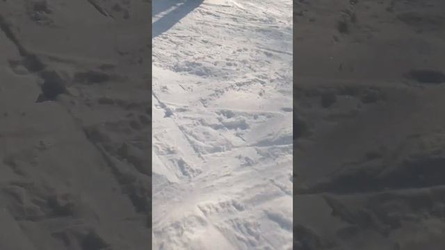 Турбаза Волков г. Пенза смотреть онлайн