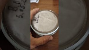 Боверия бассиана