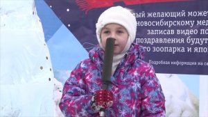 Новосибирск поздравляет медведицу Шилку с Новым годом! №1