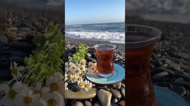 Тамара Онистратенко - Забери меня к морю смотреть онлайн