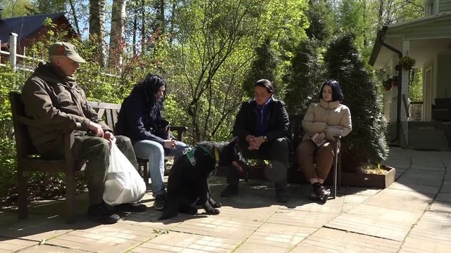 ДТ - 347. Волкособ рвется с поводка и кусается. Итоги выбора красивого щенка. Честный разговор. смотреть онлайн